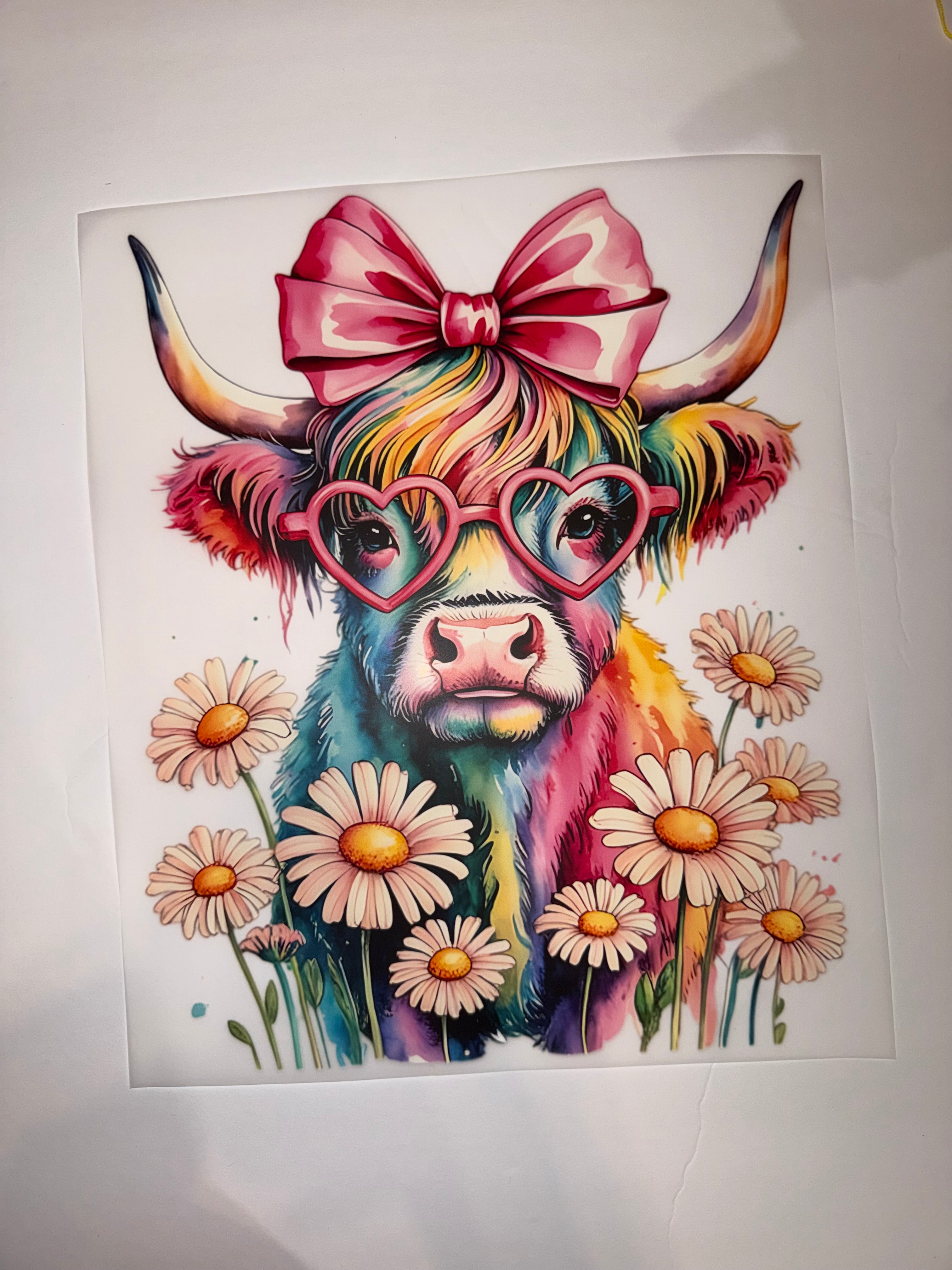 Highland daisy field transfer