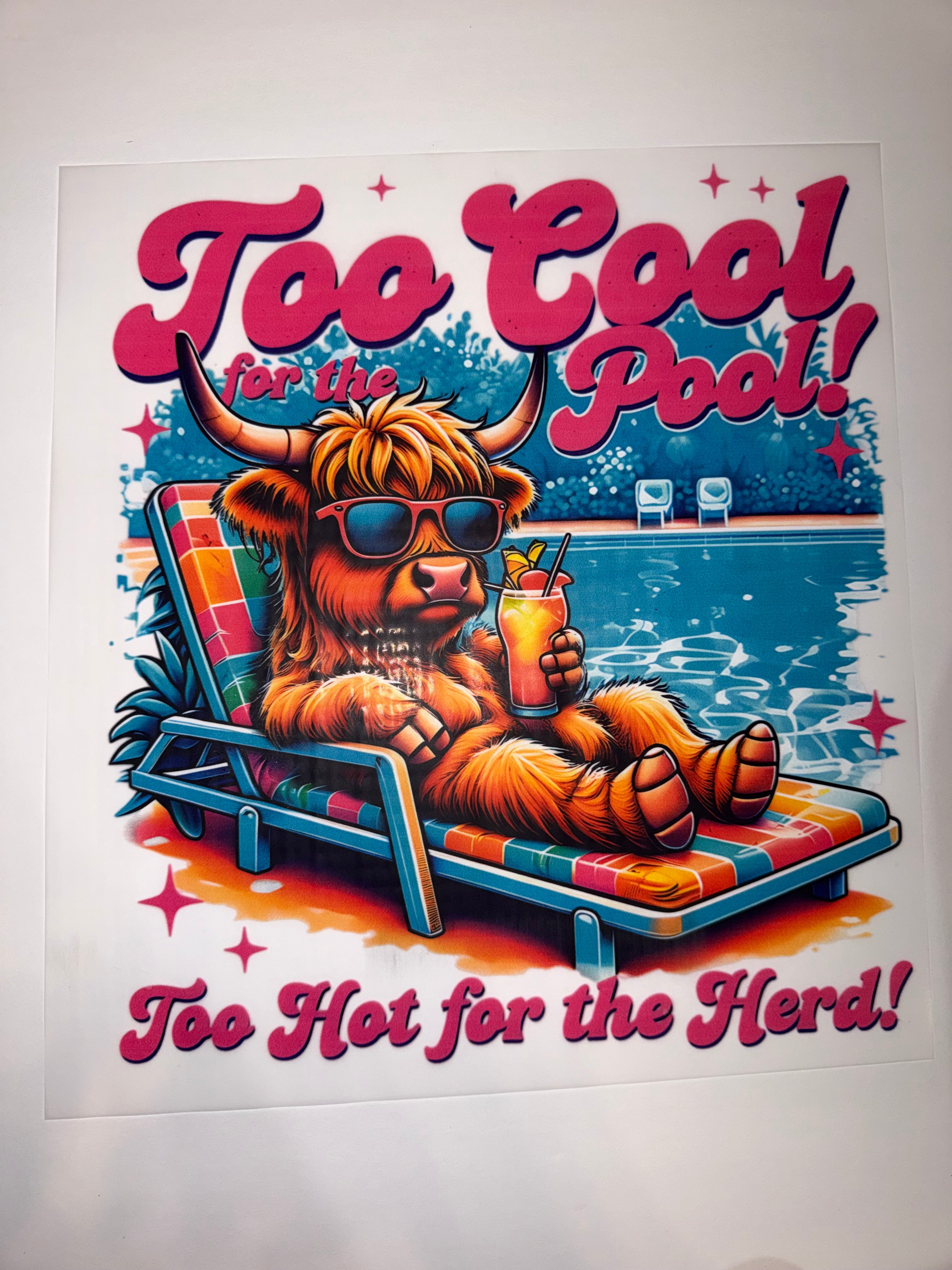 Too cool for the pool transfer