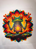 Frog Transfer